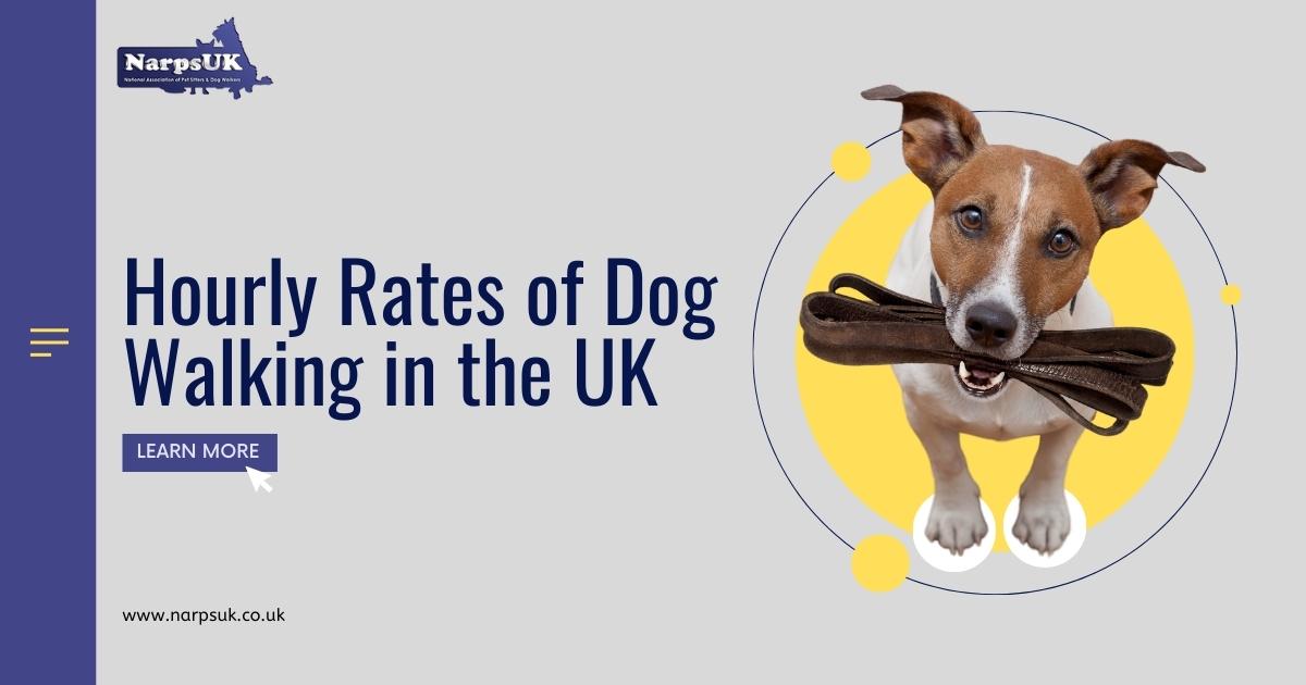 Hourly Rates of Dog Walking